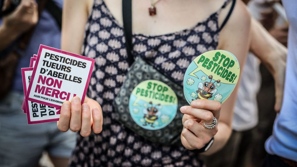 Le Sénat face à la controverse de l’acétamipride : entre rendements agricoles et crise de l’eau en France