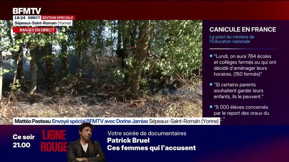 L'incendie dans la forêt en France : un phénomène qui se répète chaque été